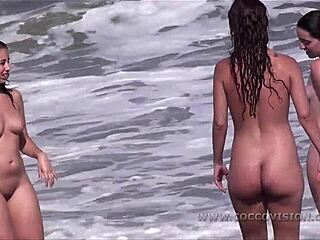 Göğüslü kadınlar sahilde sırayla güneşlenir ve banyo yapar